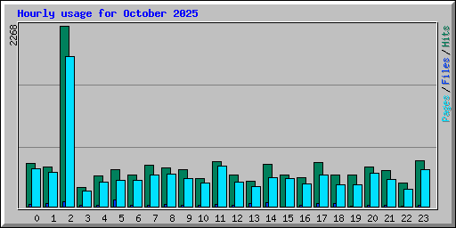Hourly usage for October 2025