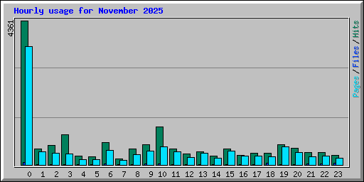 Hourly usage for November 2025