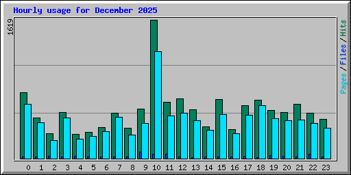 Hourly usage for December 2025