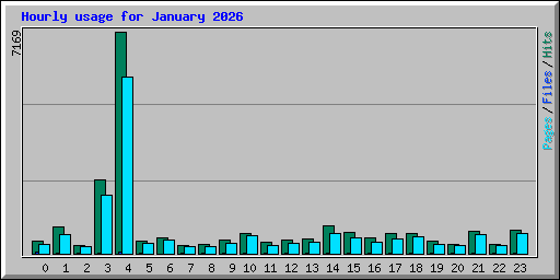 Hourly usage for January 2026